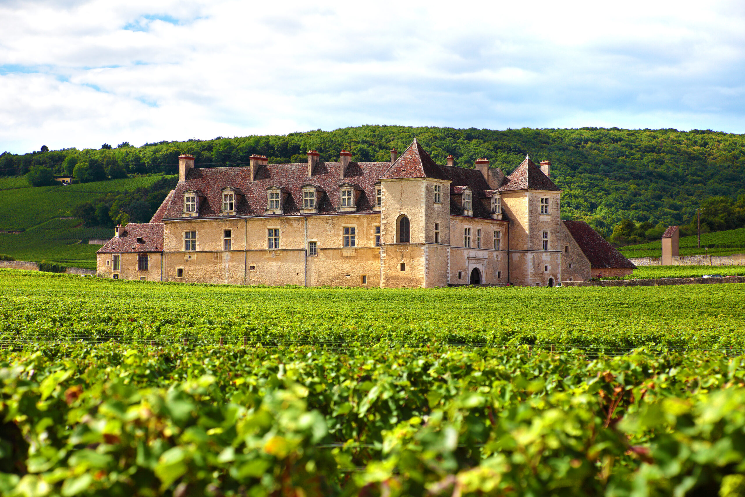 Flavors of Burgundy River Cruise